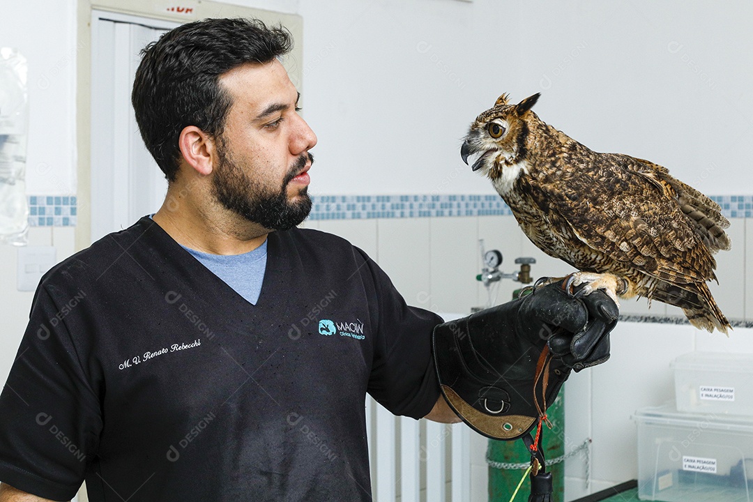 Ave machucada sendo cuidado por veterinário