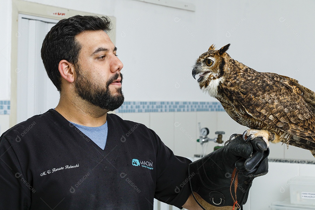 Ave machucada sendo cuidado por veterinário