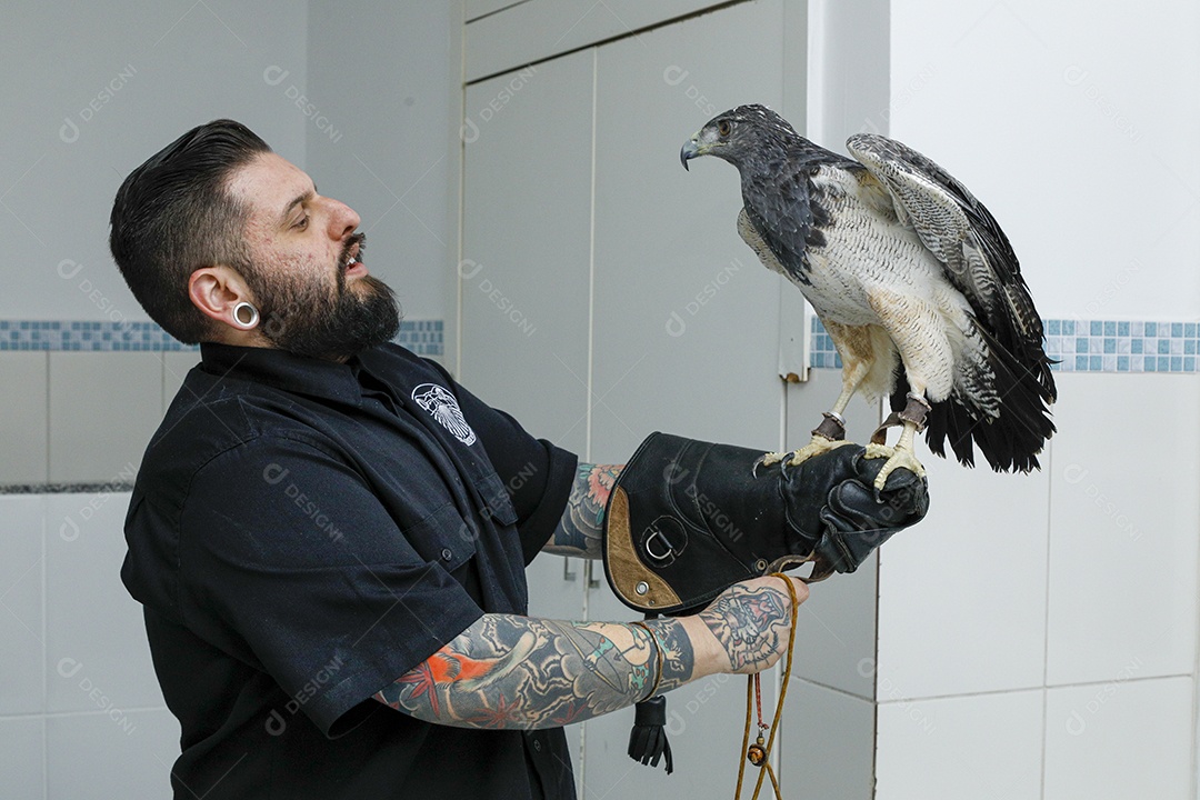 Ave machucada sendo cuidado por veterinário