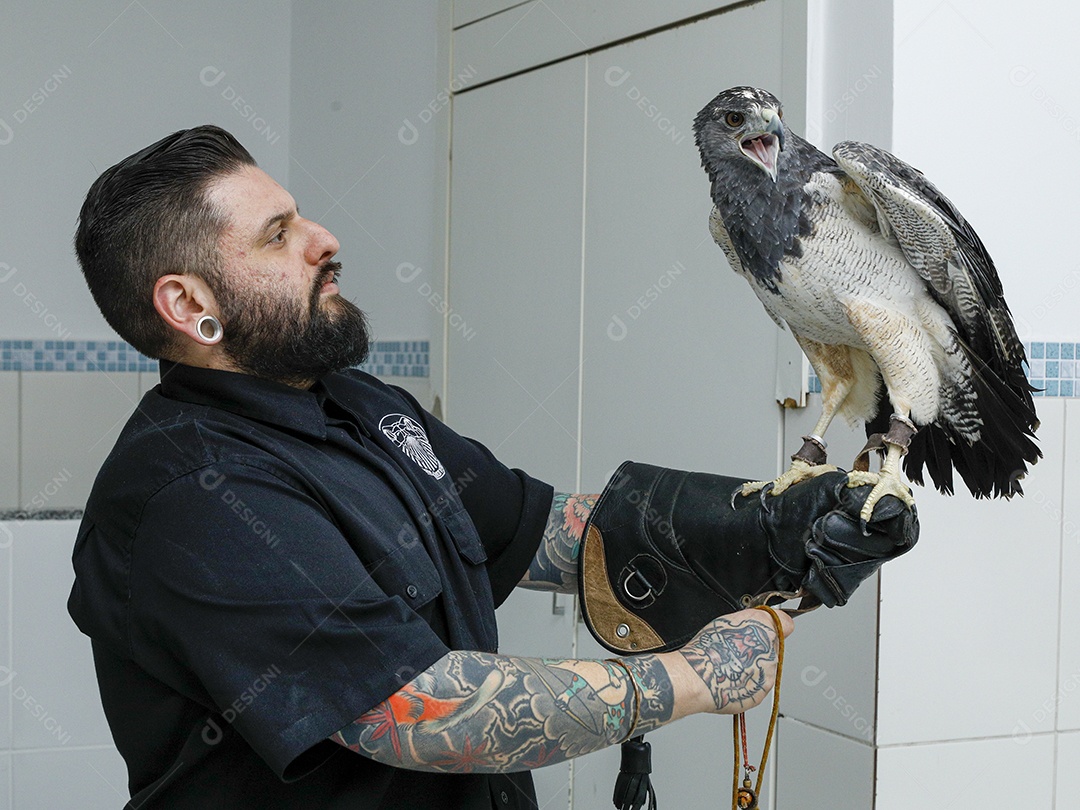 Ave machucada sendo cuidado por veterinário