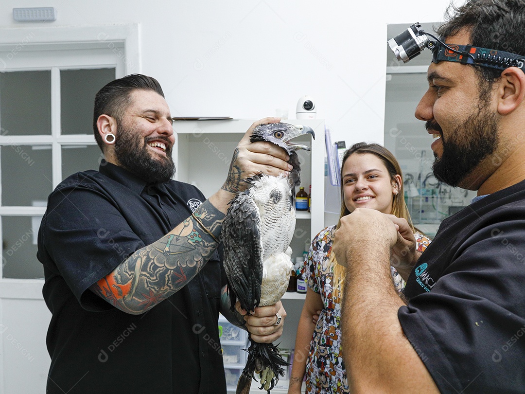 Ave machucada sendo cuidado por veterinário
