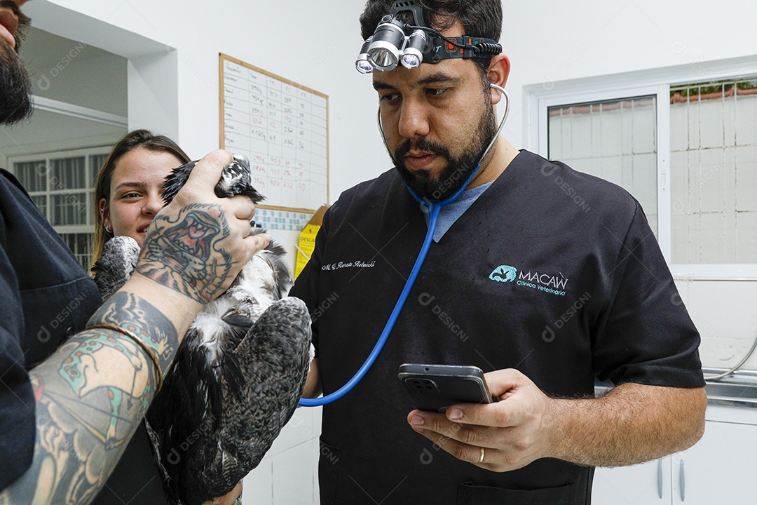 Pessoas veterinárias cuidando de ave
