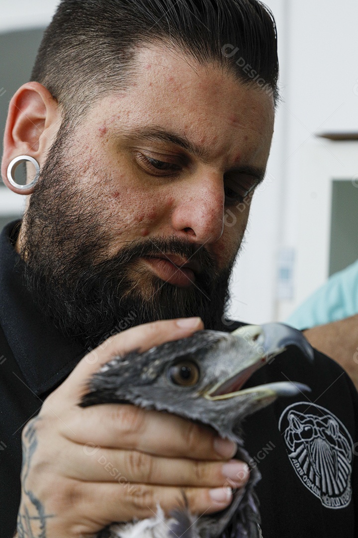 Pessoas veterinárias cuidando de ave