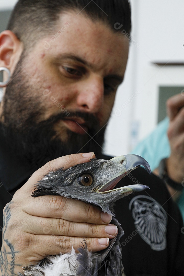 Pessoas veterinárias cuidando de ave