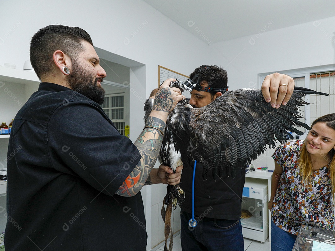 Pessoas veterinárias cuidando de ave
