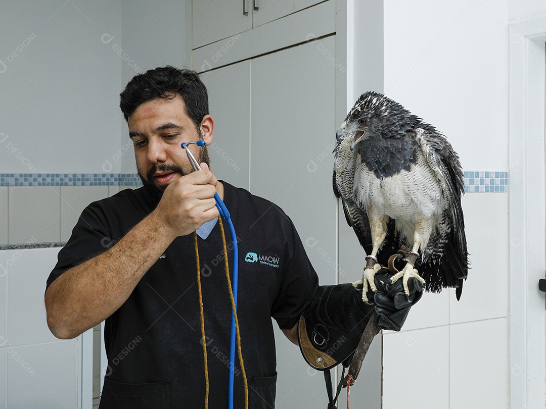 Pessoas veterinárias cuidando de ave