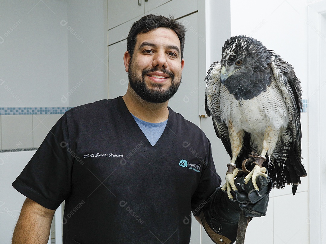 Pessoas veterinárias cuidando de ave