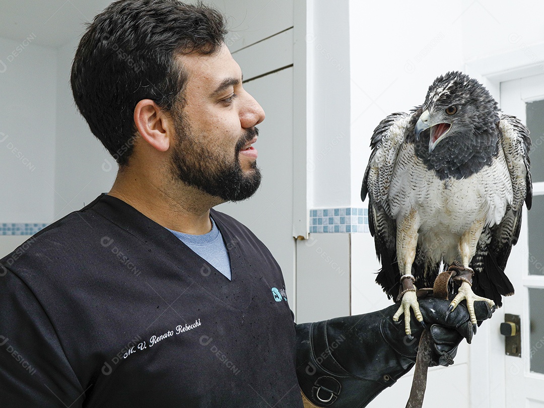 Pessoas veterinárias cuidando de ave