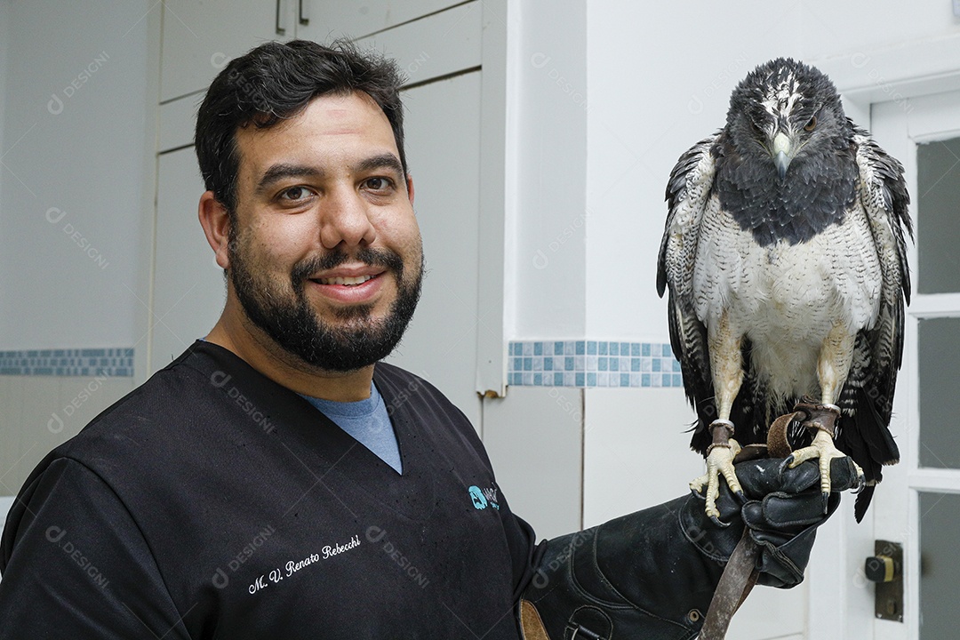 Pessoas veterinárias cuidando de ave