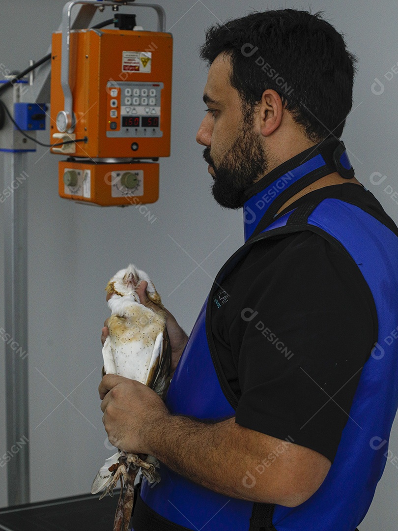 Ave sendo cuidada por veterinários