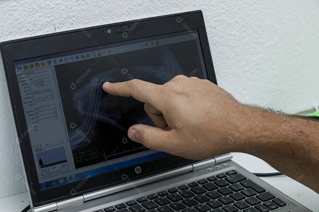 Tela de Raio X sobre clinica veterinários