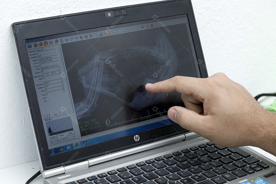 Tela de Raio X sobre clinica veterinários