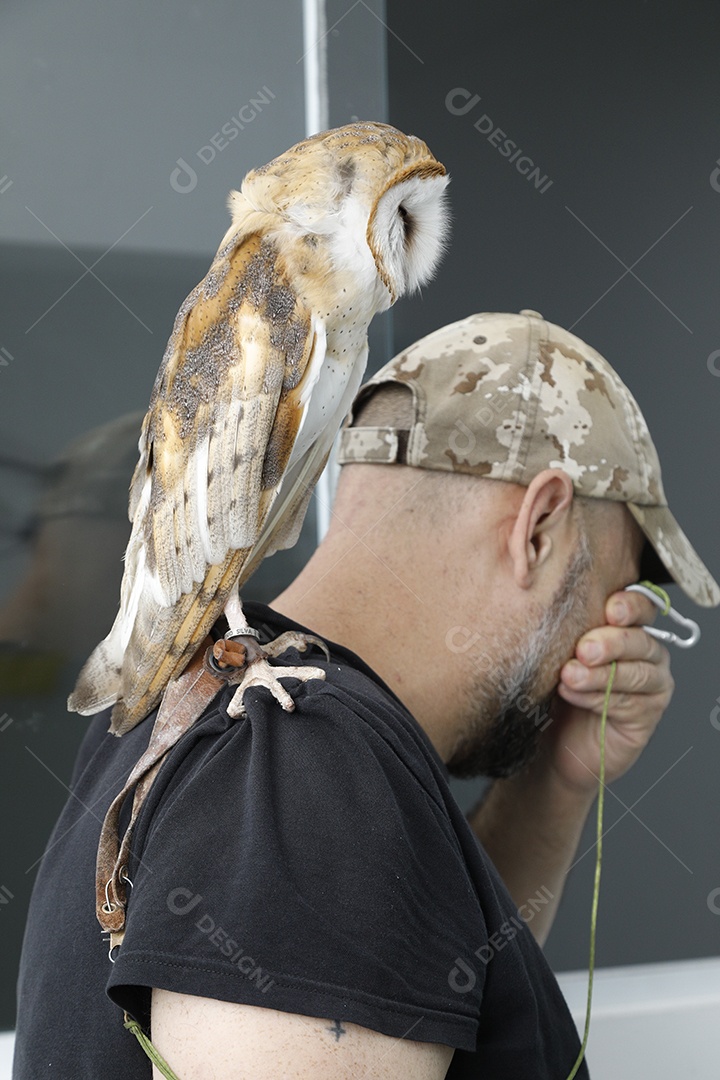 Ave sobre ombro de um homem com seu pássaro estimação