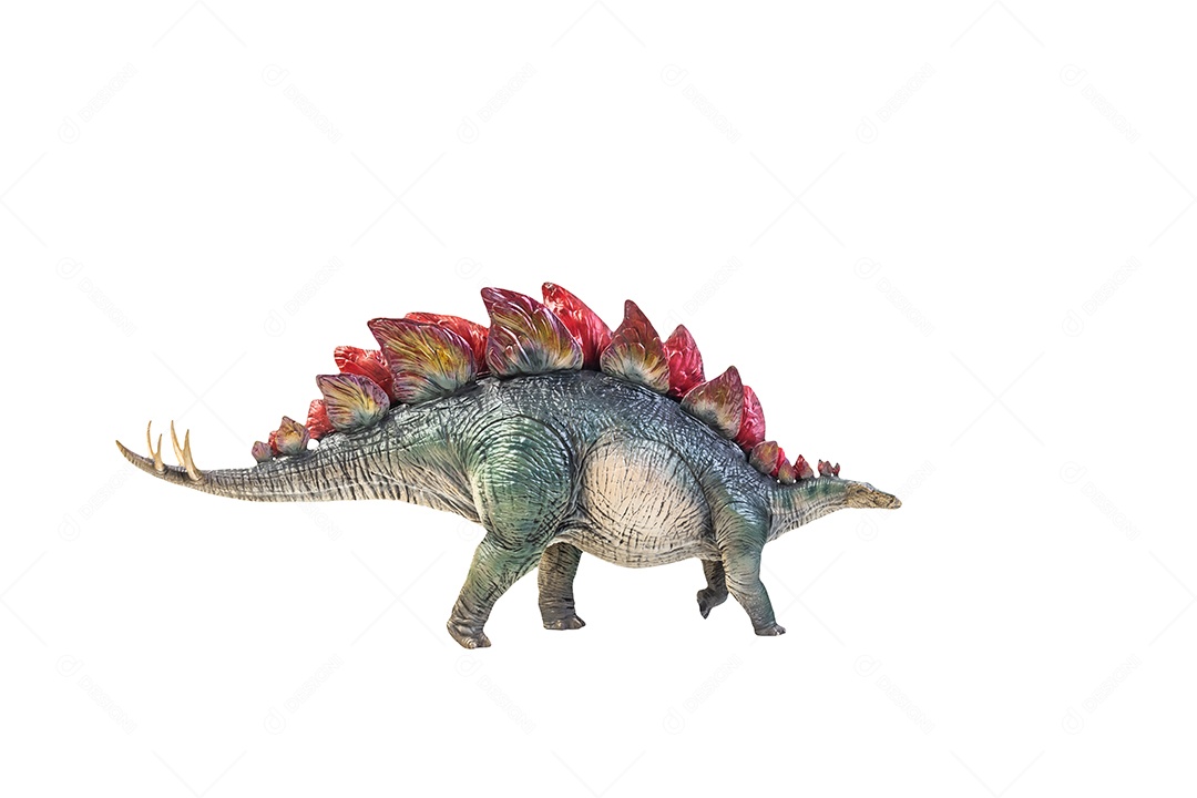 Dinossauro, fundo isolado estegossauro