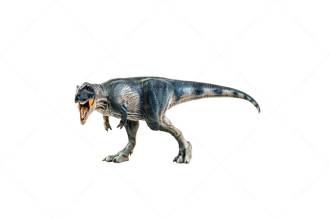 Dinossauro, Giganotossauro no traçado de recorte de fundo isolado