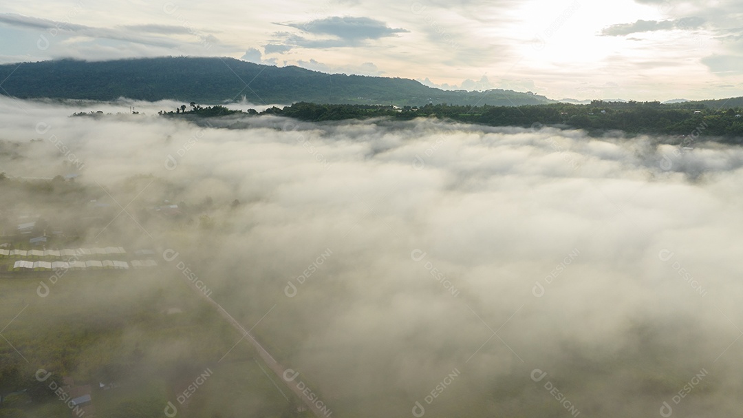 Mar de neblina e nevoeiro no fundo da natureza da montanha.