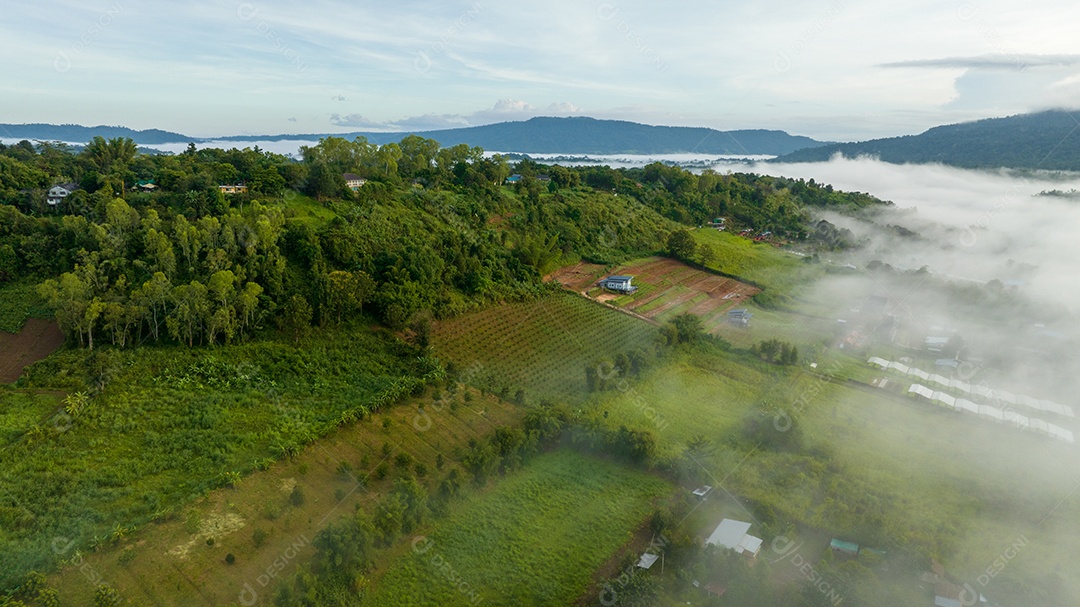 Mar de neblina e nevoeiro no fundo da natureza da montanha.