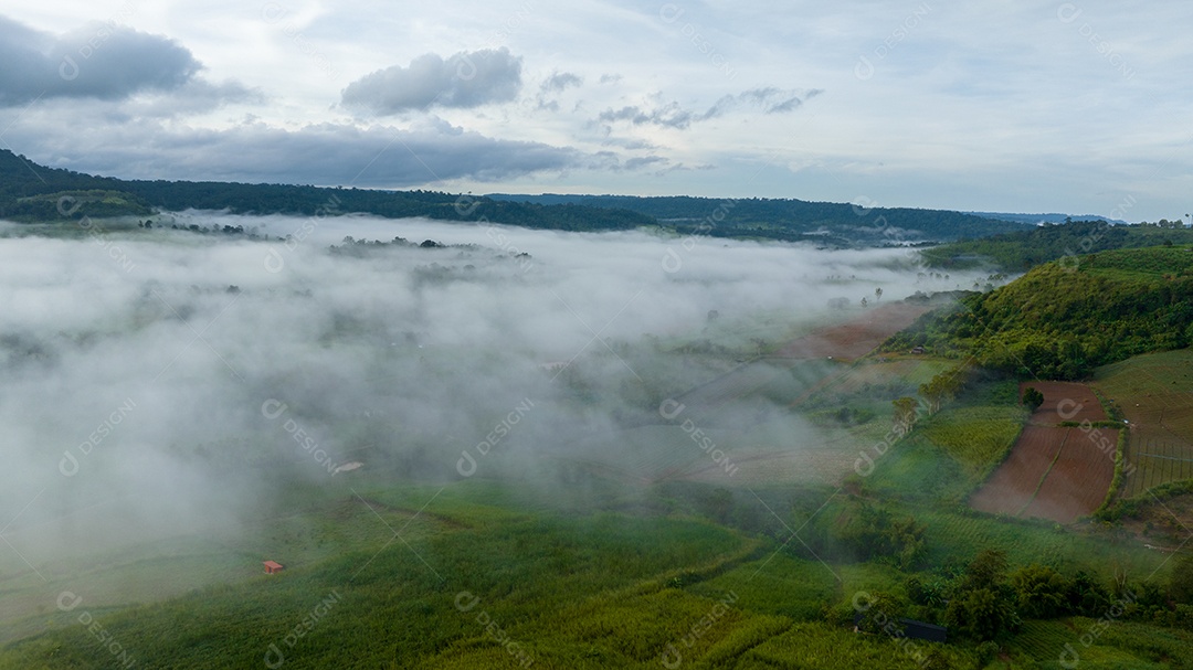 Mar de neblina e nevoeiro no fundo da natureza da montanha.