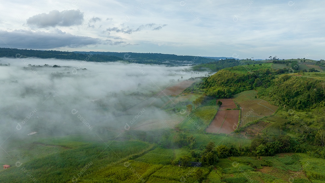 Mar de neblina e nevoeiro no fundo da natureza da montanha.