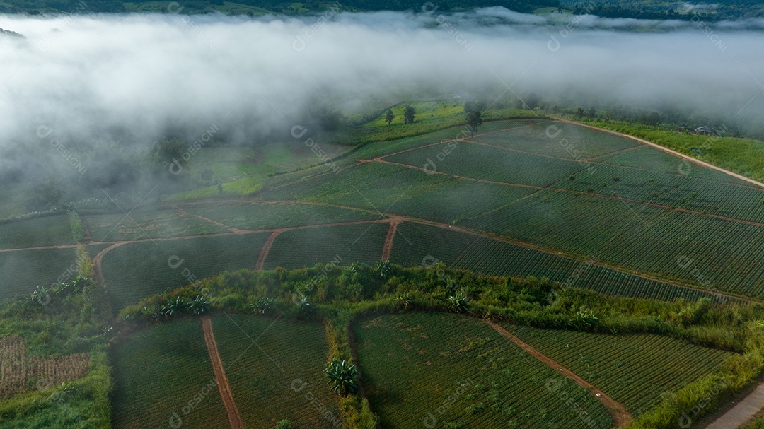 Mar de neblina e nevoeiro no fundo da natureza da montanha.