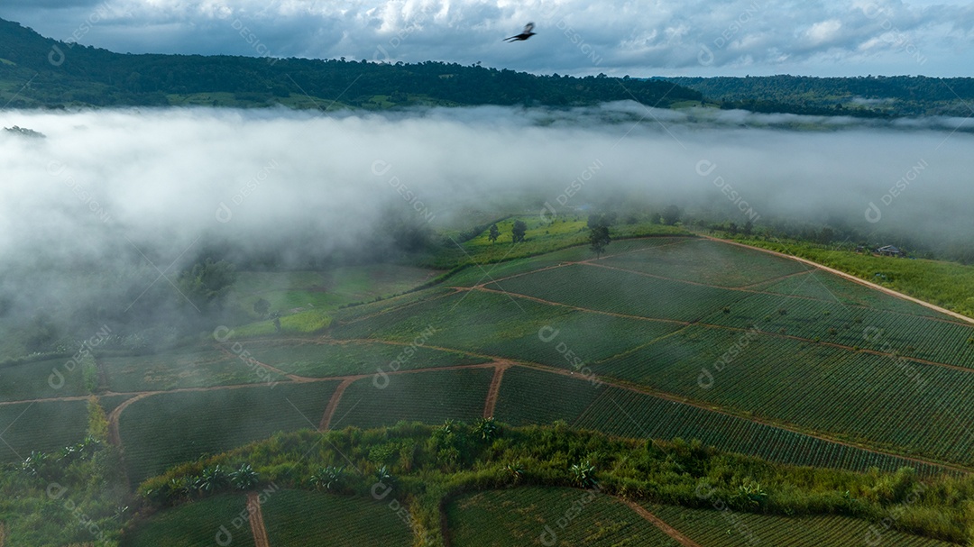 Mar de neblina e nevoeiro no fundo da natureza da montanha.