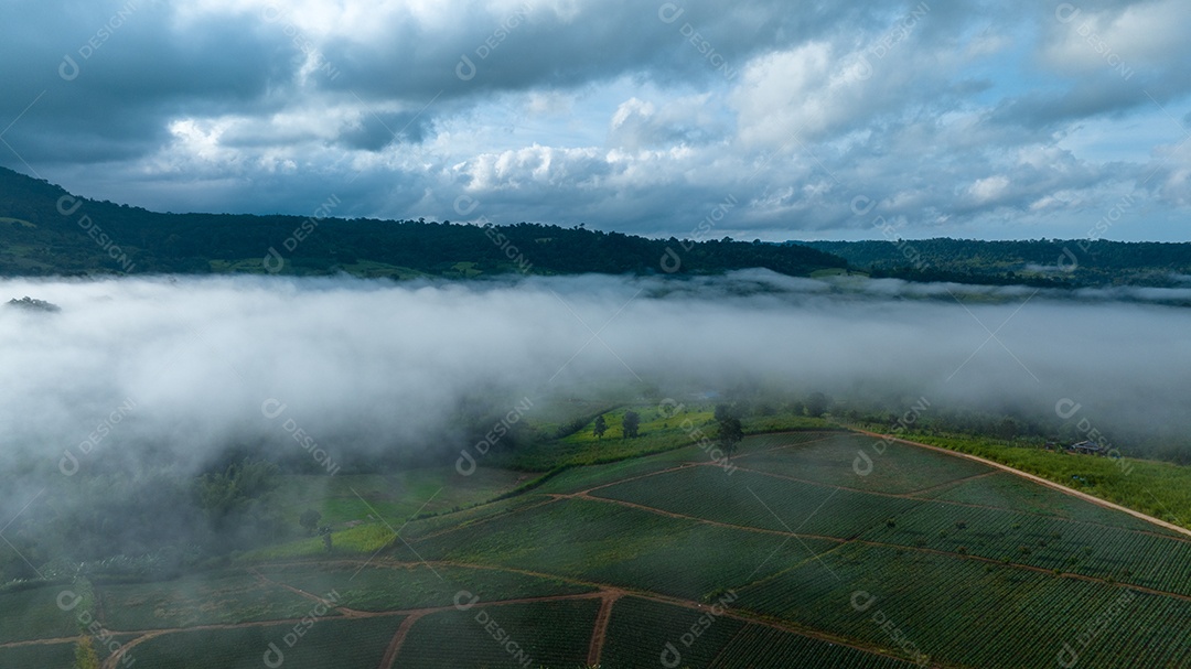 Mar de neblina e nevoeiro no fundo da natureza da montanha.