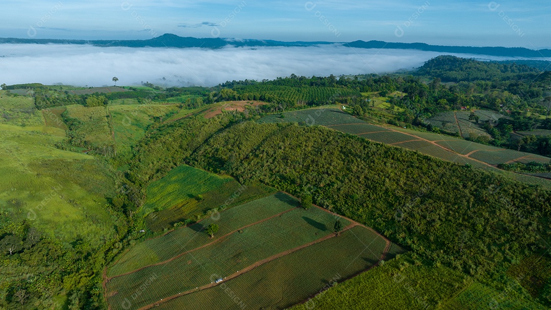 Mar de neblina e nevoeiro no fundo da natureza da montanha.