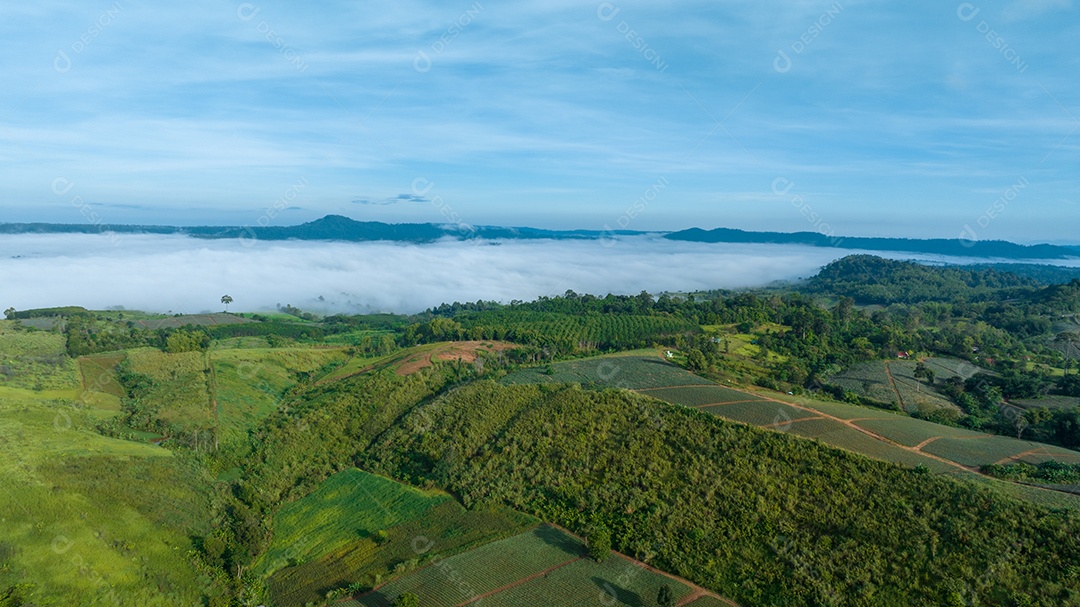 Mar de neblina e nevoeiro no fundo da natureza da montanha.