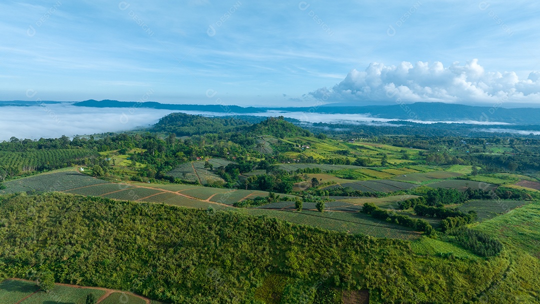 Mar de neblina e nevoeiro no fundo da natureza da montanha.