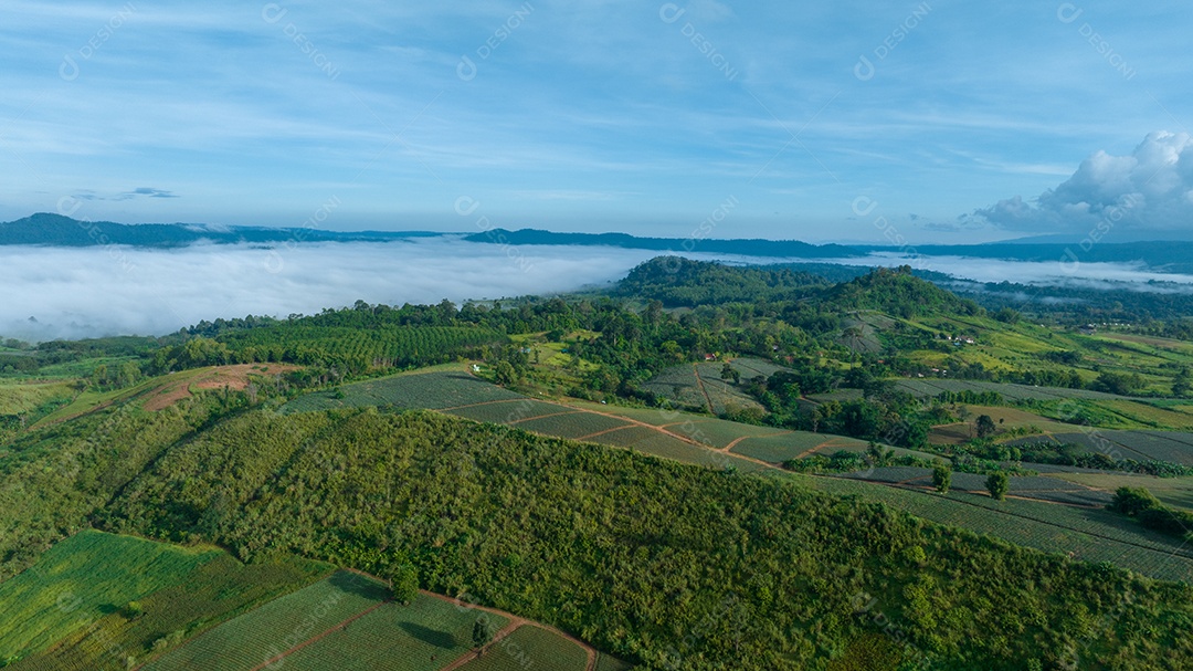 Mar de neblina e nevoeiro no fundo da natureza da montanha.