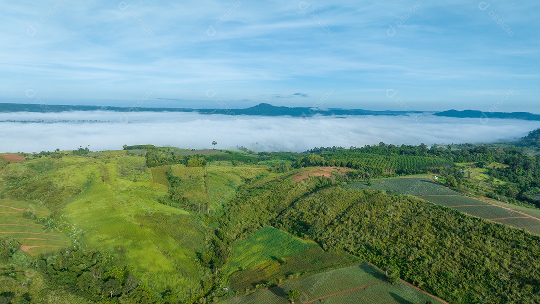 Mar de neblina e nevoeiro no fundo da natureza da montanha.