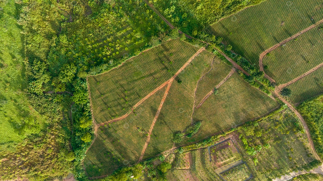 Mar de neblina e nevoeiro no fundo da natureza da montanha.