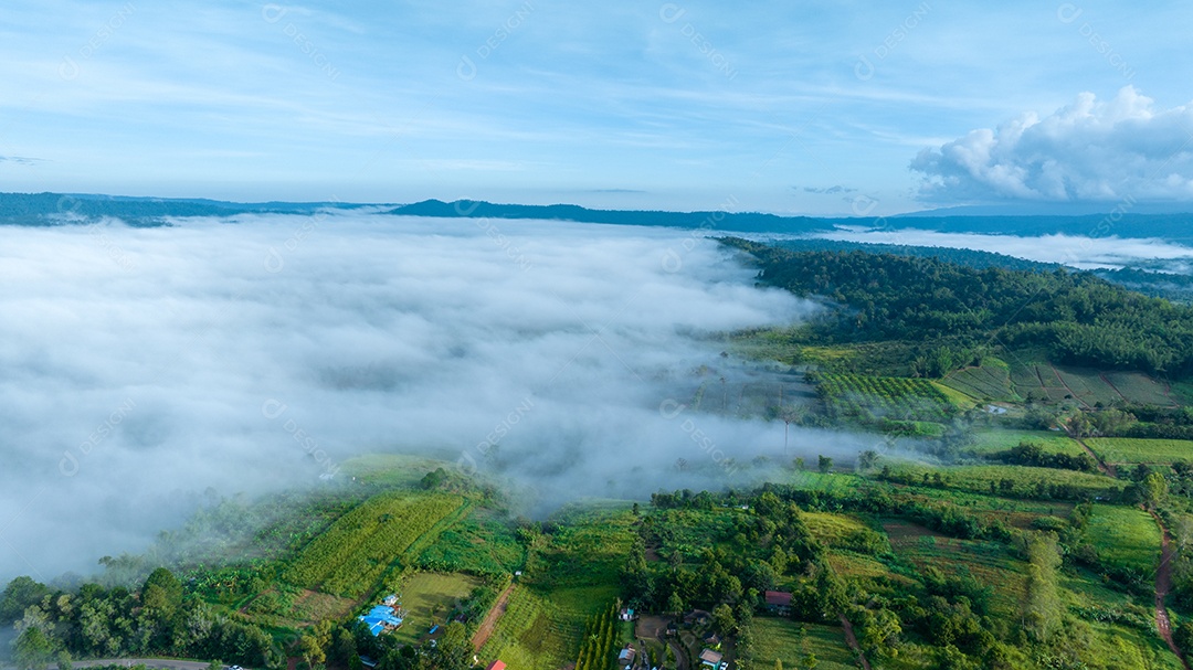 Mar de neblina e nevoeiro no fundo da natureza da montanha.