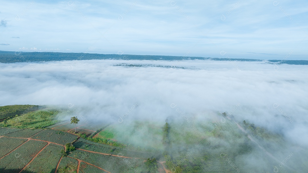 Mar de neblina e nevoeiro no fundo da natureza da montanha.