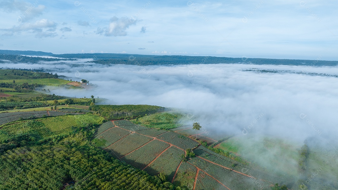 Mar de neblina e nevoeiro no fundo da natureza da montanha.