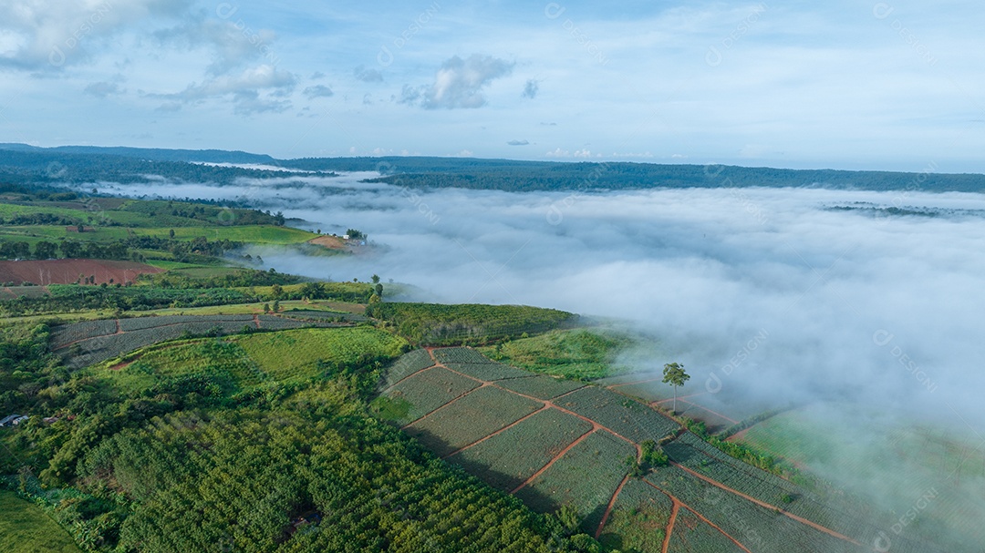 Mar de neblina e nevoeiro no fundo da natureza da montanha.