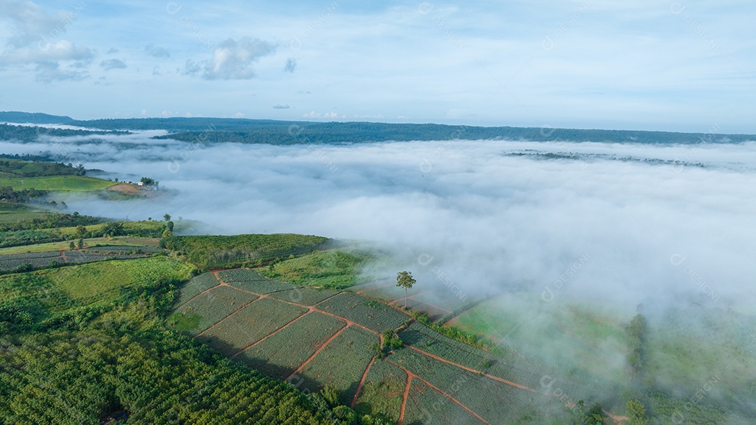 Mar de neblina e nevoeiro no fundo da natureza da montanha.