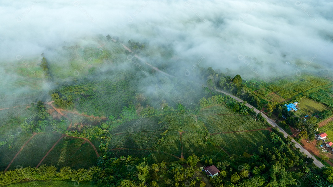 Mar de neblina e nevoeiro no fundo da natureza da montanha.