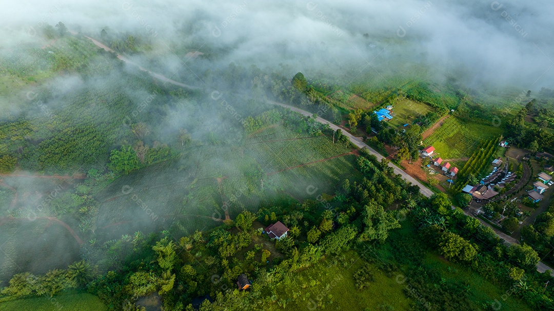 Mar de neblina e nevoeiro no fundo da natureza da montanha.