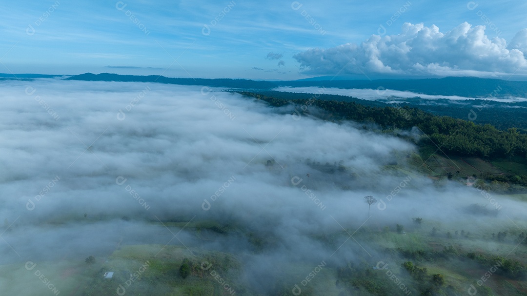 Vista de cima da bela paisagem natural da floresta