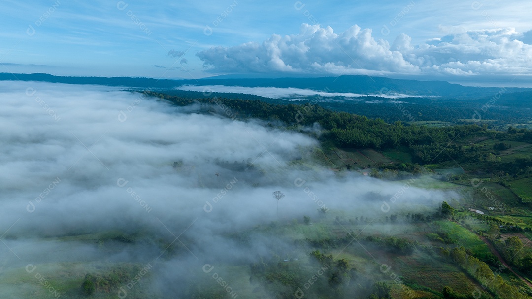 Vista de cima da bela paisagem natural da floresta.