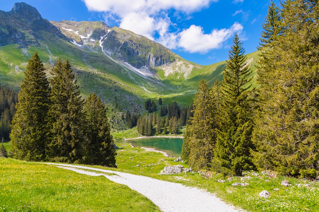 Vista paisagística de Gantrischseeli no parque natural da Suíça, cenário natural com um rio no meio entre as montanhas.
