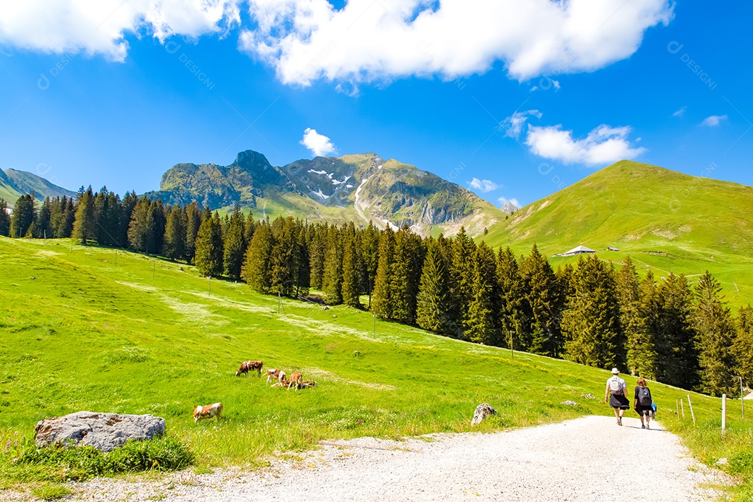 Vista paisagística de Gantrischseeli no parque natural da Suíça, cenário natural com um rio no meio entre as montanhas.