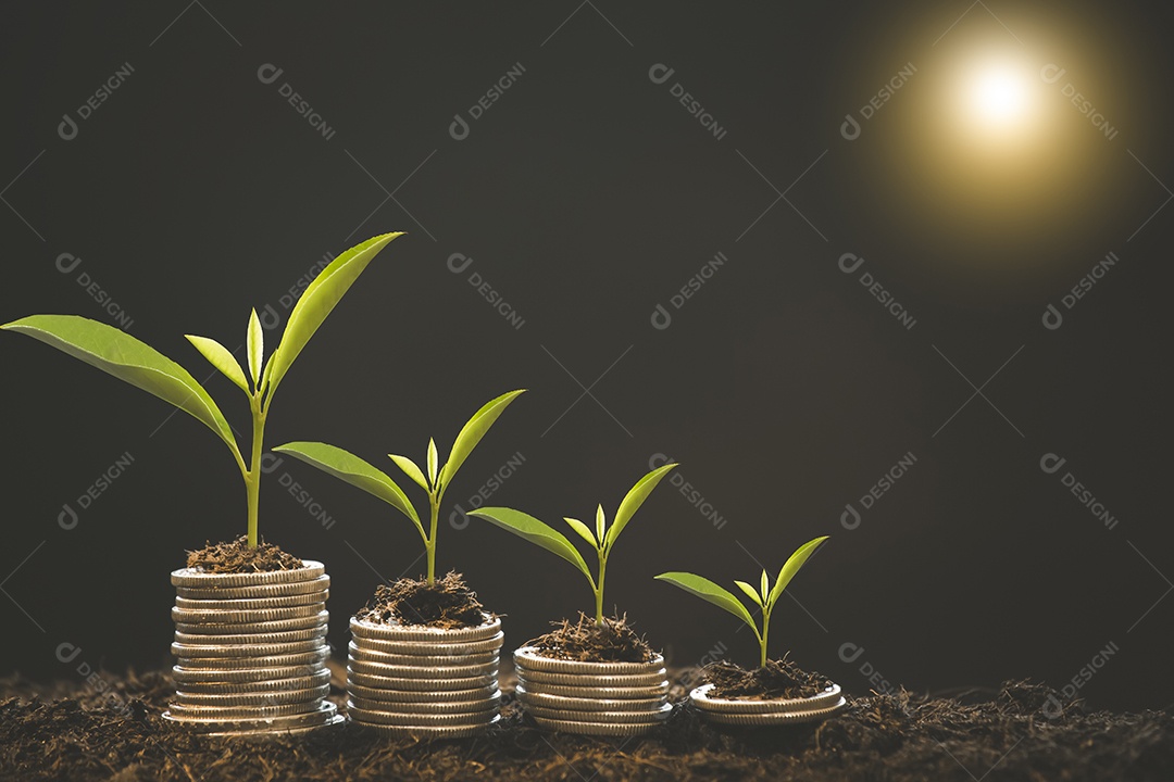 Planta de dinheiro crescente em lâmpada economizadora de energia com porquinho e árvore