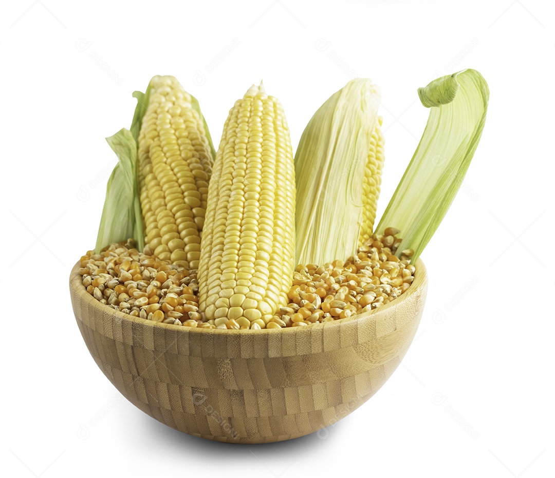 Milho fresco com folhas e grãos de milho isolados em fundo branco, salvo com traçado de recorte