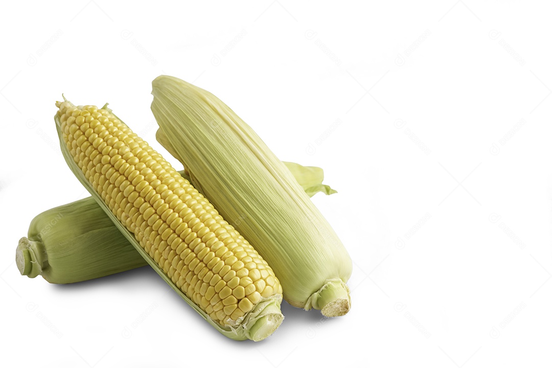 Milho fresco com folhas e grãos de milho isolados em fundo branco, salvo com traçado de recorte