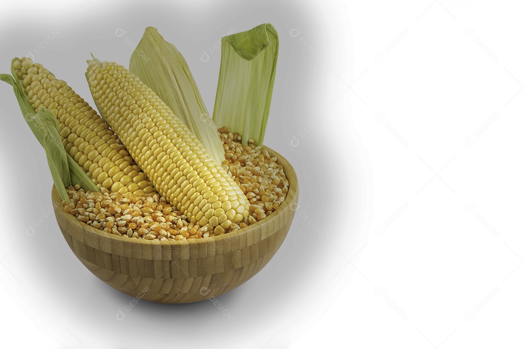 Milho fresco com folhas e grãos de milho isolados em fundo branco, salvo com traçado de recorte