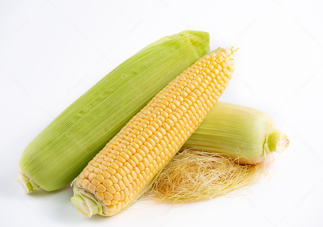 Grupo de grãos de milho secos com milho fresco no fundo de milho de semente completo