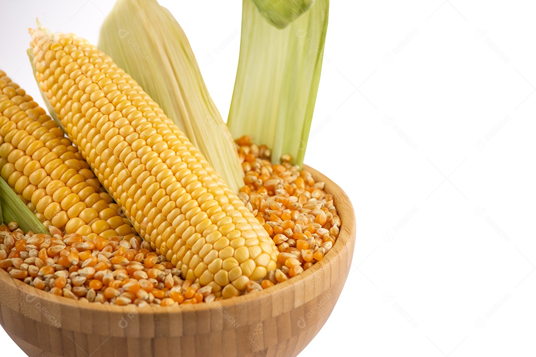 Milho fresco com folhas isoladas sobre fundo branco.