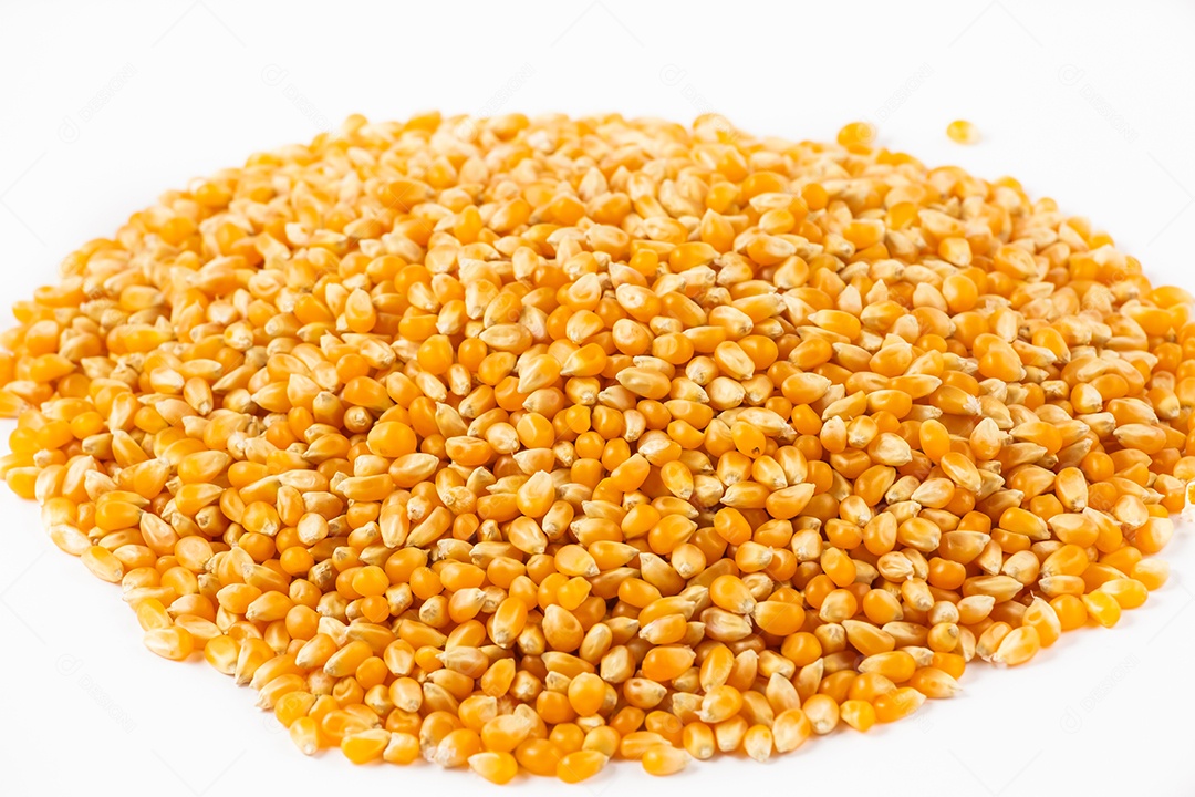 Milho fresco com folhas isoladas sobre fundo branco.